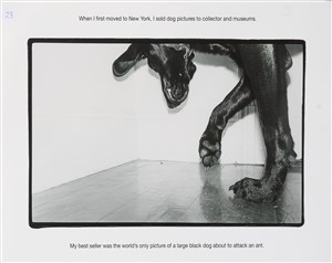 Image description is not available for 2024.232